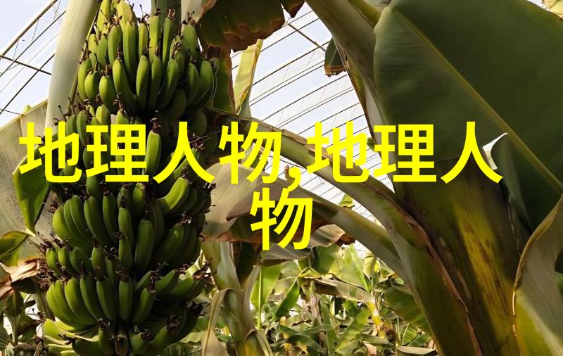 图5: pH计