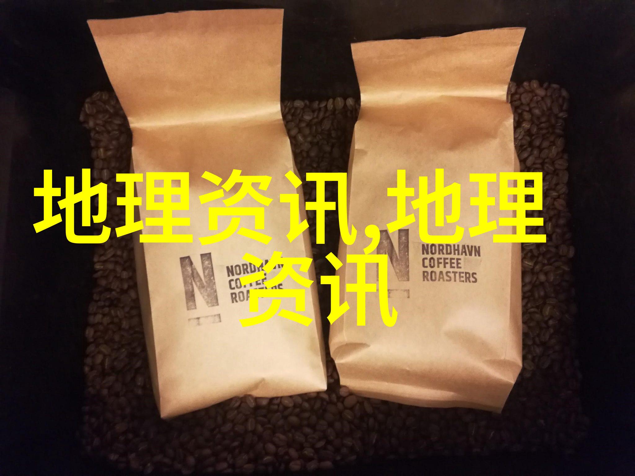 蒸发皿