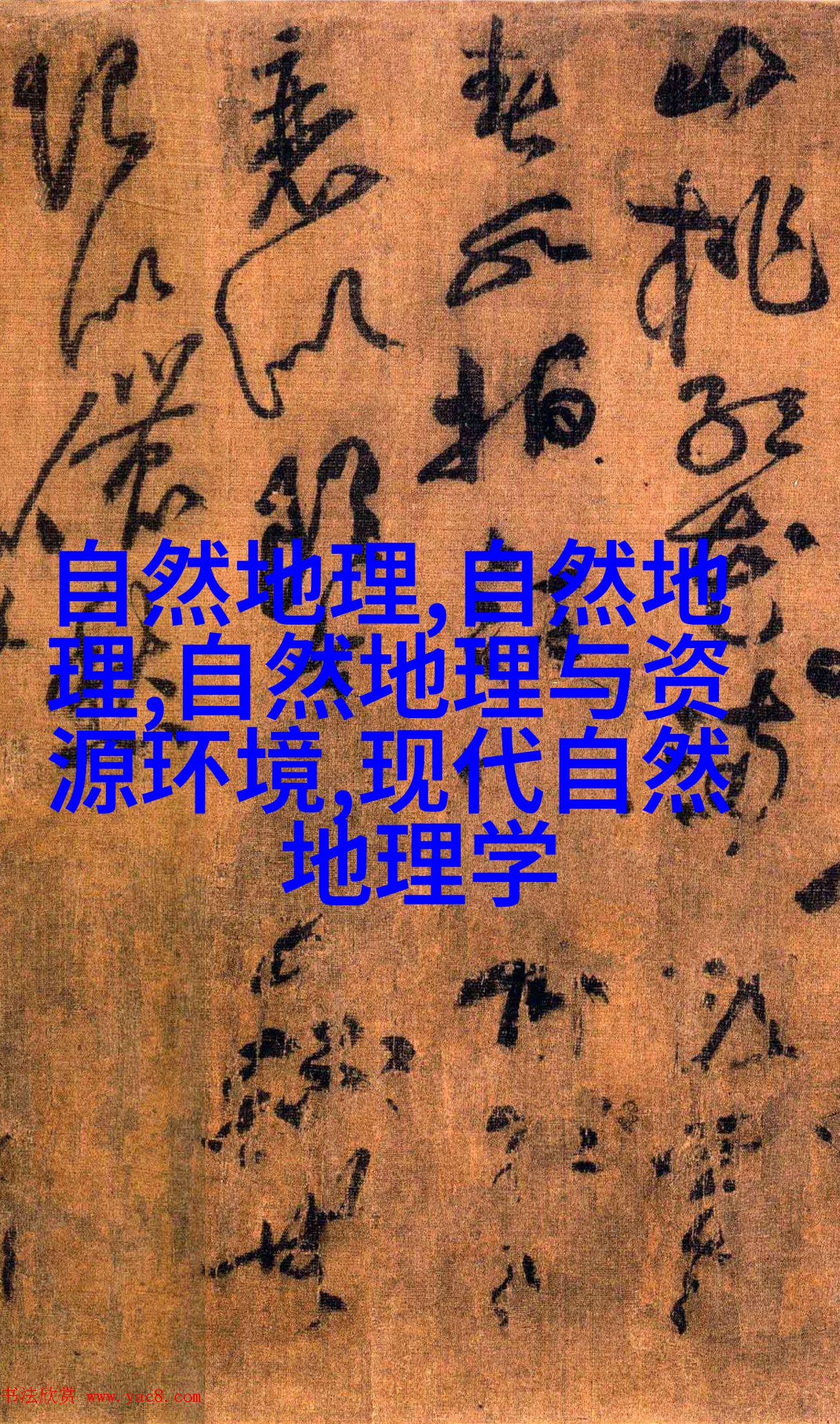 凝胶电泳机