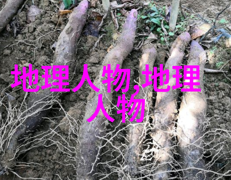 图3: 热水浴