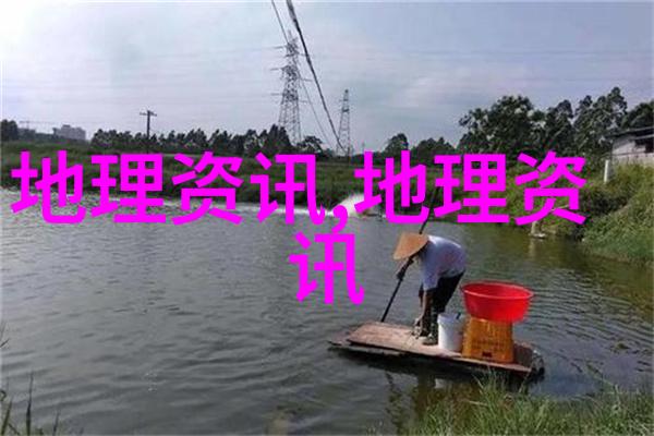 pH计