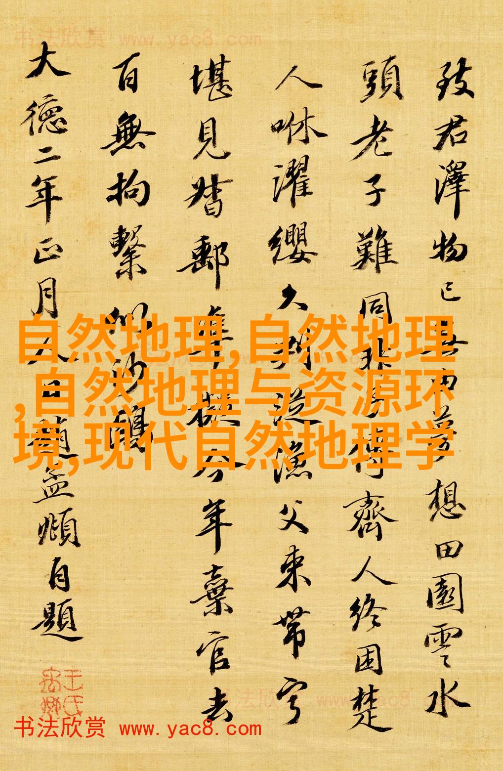 中心滤纸