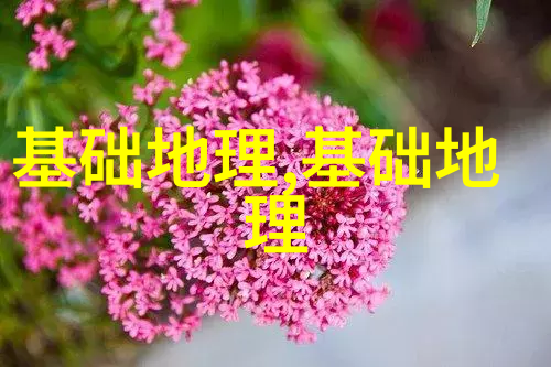 反应釜