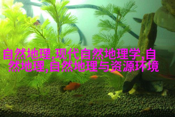 磁棒