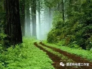 地理自然现象_自然地理_地理自然条件答题模板/