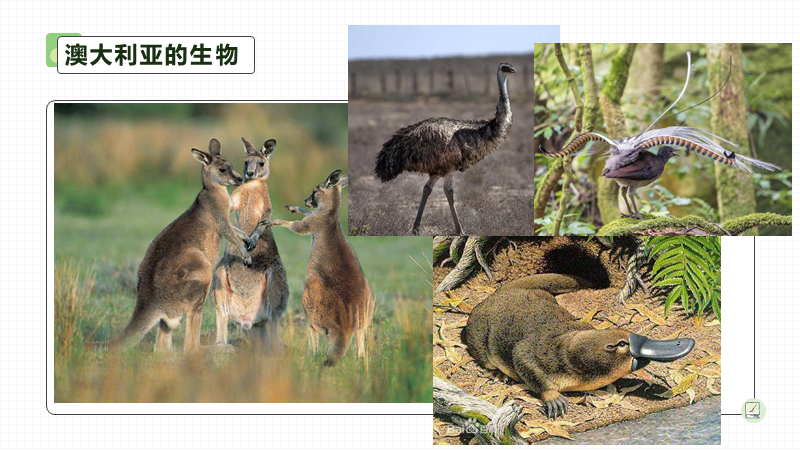 地理自然因素有哪些_地理自然环境思维导图_自然地理/